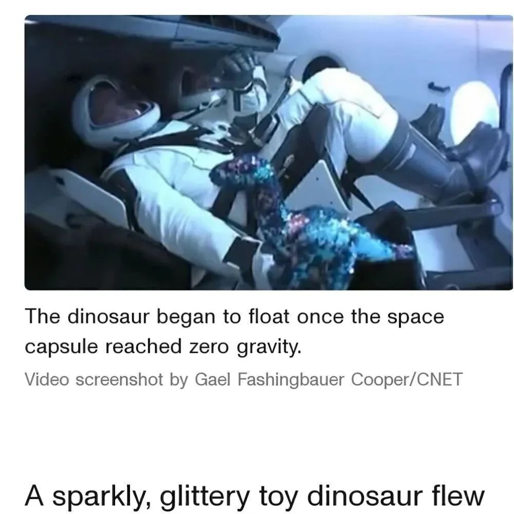 TY Tremor Sequin Dinosaur Plush - Same type to fly through Space - Picture 15 of 16